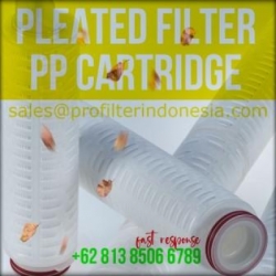 pleated filter cartridge membrane indonesia  large